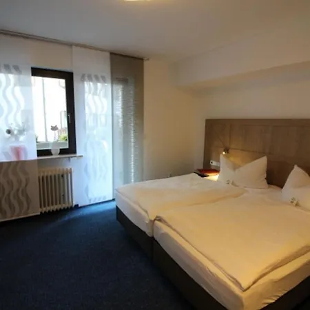 ホテル Garni Cafe Raepple 3*