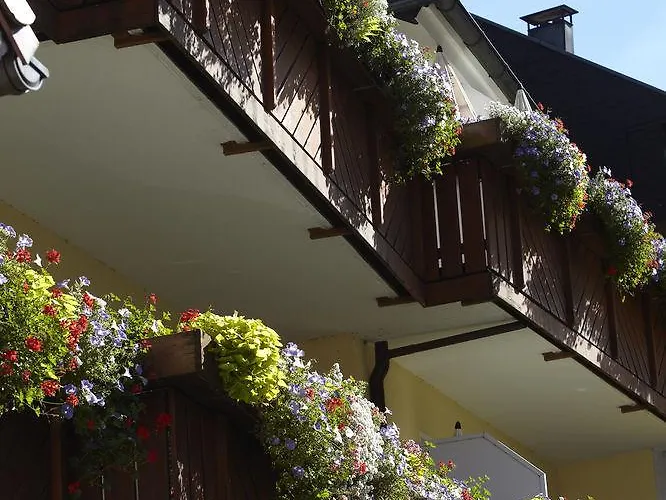 Hotel Garni Café Räpple 3*